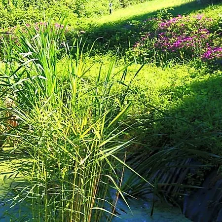 Bed & Breakfast Domaine Les Causeries 4*
