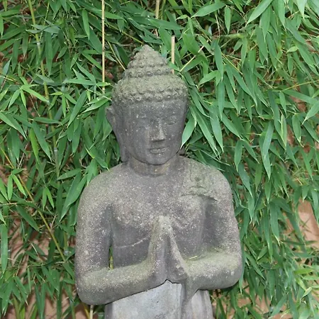 Domaine Les Causeries Bed & Breakfast